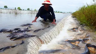 amazing fishing! a fisherman skill catch fish a lots on the road waterfall by best hand this evening