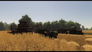 Polskie Żniwa| Farming Simulator 2019|