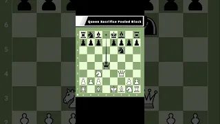 Quick Checkmate!!! Blackmar Gambit Queen Sacrifice #shorts