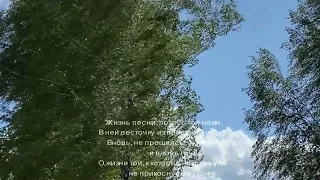 Стихи Жизнь...