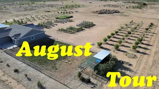 Farm Tour August 2021 | Desert Farming