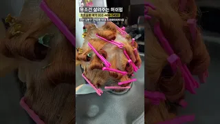 머리가 가늘어도 무조건 볼륨 사는펌 #허쉬펌 #복구펌 #셋팅펌