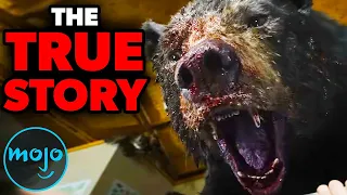 The Untold Story of the Cocaine Bear