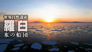 羅臼・知床 /世界自然遺産・流氷のまち#Hokkaido #JAPAN #Rausu #Shiretoko #4K