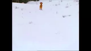 bamse på ski