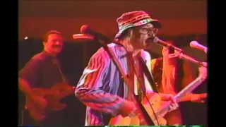 03   Glen Frey with Joe Walsh - Ordinary Average Guy   Chattanooga, Tennessee 1993 Riverbend Festiva