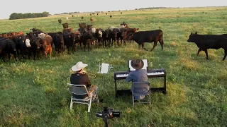 Bringing in the cows with my trombone and piano