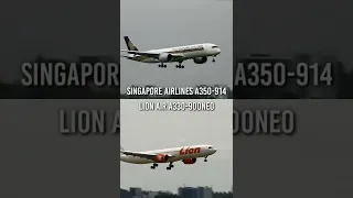 Lion Air vs Singapore Airlines Landing