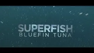 Rick Rosenthal on Filming "Superfish: Bluefin Tuna" | Pew