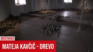 GRAD RAJHENBURG: Razstava Mateje Kavčič - Drevo