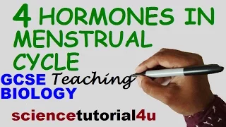 Hormones in Menstrual Cycle, GCSE BIOLOGY SCIENCE