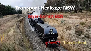 Behind Steam Locomotive 6029 - Tumulla Bank - June 2022