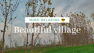 Beautiful village in pakistan || mind relaxing music