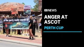 Activists protest the Perth Cup re-run after an on-track death at Ascot a fortnight ago ABC News