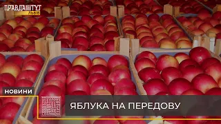 18 тонн контрабандних яблук намагалися ввезти до України під виглядом гуманітарної допомоги