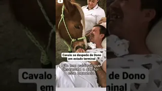 chocante ver essa despedida, do cavalo com seu dono em estado terminal