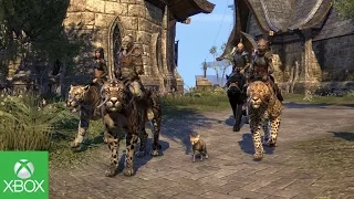 The Elder Scrolls Online: Tamriel Unlimited - Day One In Tamriel