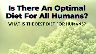 Is There An Optimal Diet For All Humans? (what is the best diet for humans?) - TWFL