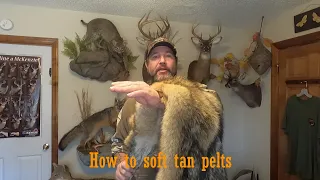 Soft Tanning Pelts (Part 1) #taxidermy #howto #wildlife