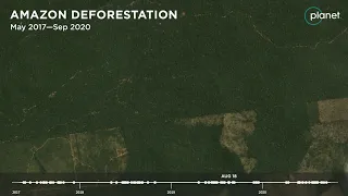 Amazon Deforestation