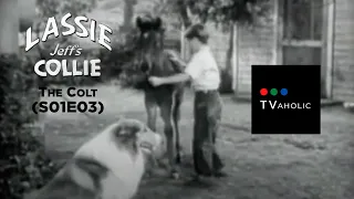 Lassie S01E03 - The Colt (1954)