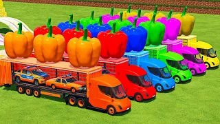 LOAD GIANT PEPPERS, VOLKSWAGEN POLICE, CHEVROLET CARS & TRANSPORTING WITH TESLA TRUCKS - FS22