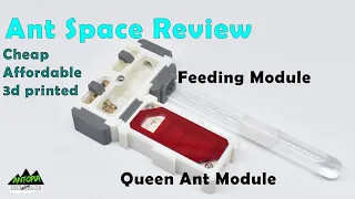 Ant Space |  Ant Formicarium Modules