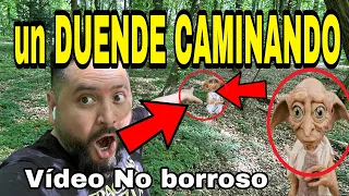 DUENDES CAPTADOS en su casita su voz no es de este mundo (duendes reales) parte 12