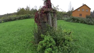 За клюквой на Ширинское болото. Новгородская обл.