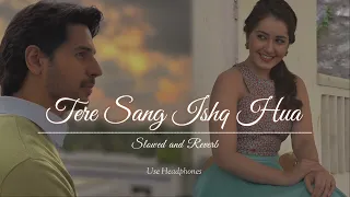 YODHA: Tere Sang Ishq Hua (Full Song) Sidharth Malhotra,Raashii Khanna,Arijit Singh,Tanishk,Kunaal