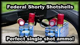 Federal Shorty Shells Perfect single shot ammo