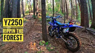 THE BEST SINGLE TRACK AT WHITE PINES OHV 5/3/24 4K