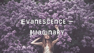 Evanescence - Imaginary [Acoustic Cover.Lyrics.Karaoke]