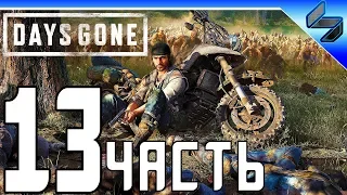 DAYS GONE (Жизнь После) Прохождение ➤ Часть 13 На Русском ➤ PS4 Pro [1080p 60FPS]