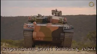БМП Redback - корейская "Черная вдова" для армии Австралии