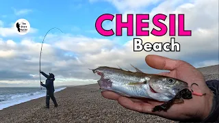 Catch & Cook: Chesil Beach Edition!