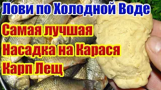 Лови по холодной воде Насадка на Карася Карп Лещ Супер рыболовная насадка