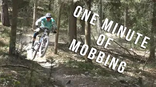 One Minute of Mobbing a Mondraker