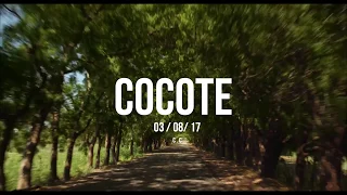 COCOTE | trailer | ttff/18