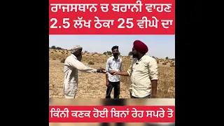 ਰਾਜਸਥਾਨ ਚ 2.5 ਲੱਖ ਨੂੰ 25 ਕਿੱਲੇ ਠੇਕਾ ।। ਸ਼ਹਿਦ ਵਰਗਾ ਪਾਣੀ ਉਹ ਵੀ 10 ਫੁੱਟ ਤੇ ।।