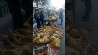 Собачий мясной базар в Китае