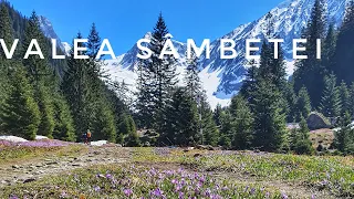 Muntii Fagaras - Cabana Valea Sâmbetei