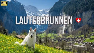The most beautiful valley of Switzerland in spring - Lauterbrunnen 4K