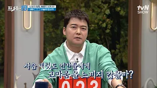 어떻게 야생 사슴이 귀요미? 화살 제거 수술 후 만난 사슴의 반응🦌 [신비의 탐험, 동물의 세계 19] #프리한19 EP.355 | tvN SHOW 230320 방송