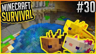 Minecraft Zoo: Axolotl Gehege! ✨ Minecraft 1.17 Survival Let's Play #30 ✨ ErikOnHisPeriod