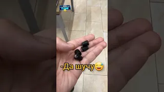 Давидыч - Колпачки на Колеса за 600 000 руб🤯 #shorts