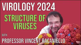 Virology Lectures 2024 #4: Structure of viruses