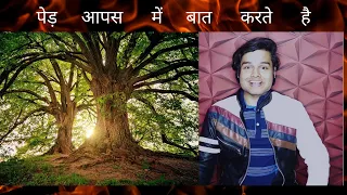 Plants Use An Internet Made of Fungus in hindi  I wood wide web  I पेड़ आपस में बात करते है