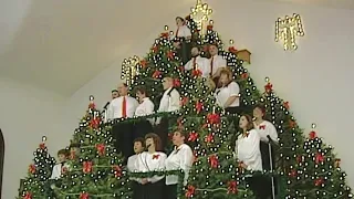 Tree filled with song Back Down The Pennsylvania Road