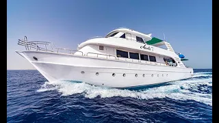 MY Amelie - Short and affordable Red Sea liveaboard